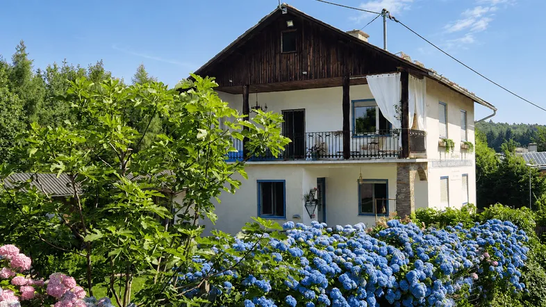 Traditionelles Haus mit Balkon, blühenden Hortensien und grüner Umgebung unter blauem Himmel.