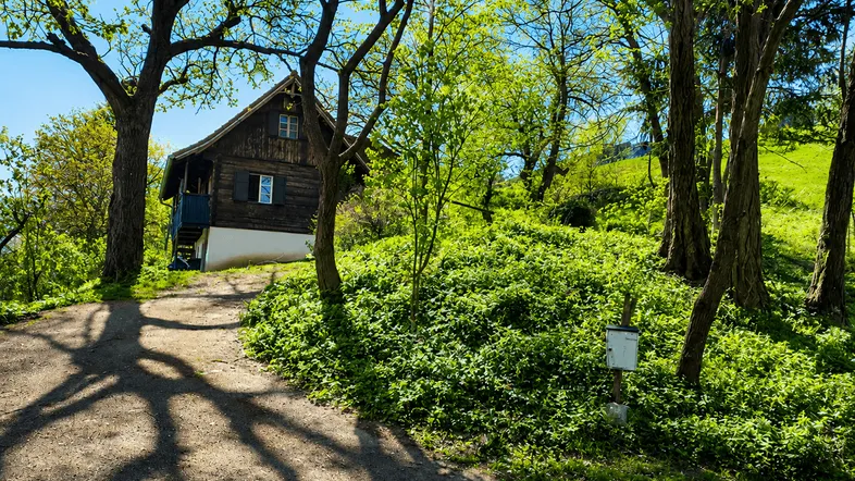Ländliches Holzhaus umgeben von üppigem Grün und Bäumen, mit einem Feldweg.