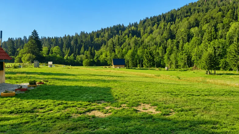 Weitläufige grüne Wiese mit dichtem Wald im Hintergrund und einer kleinen Holzhütte in der Ferne unter blauem Himmel.