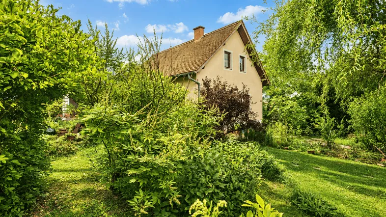 Einfamilienhaus umgeben von einem üppigen grünen Garten mit vielen Bäumen und Sträuchern.