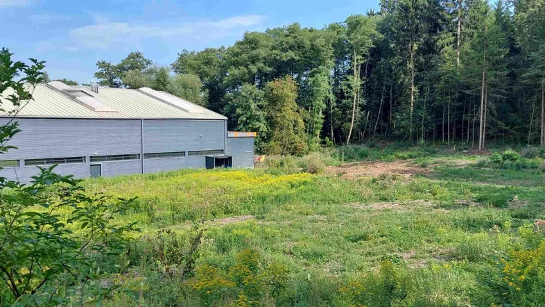 Weitläufiges Grundstück mit viel Grünfläche, angrenzendem Wald und einem modernen Gebäude im Hintergrund.