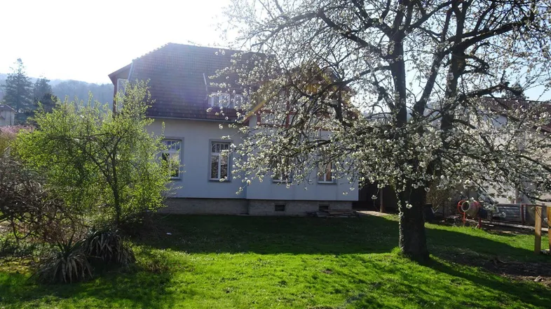 Großzügiger Gartenbereich mit blühenden Bäumen und Blick auf das Wohnhaus an einem sonnigen Tag.