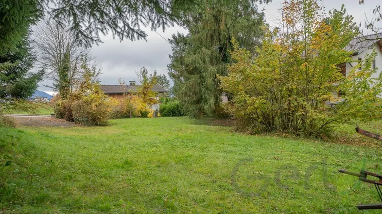 Weitläufige Rasenfläche umgeben von Bäumen und Sträuchern, mit einem Haus im Hintergrund.