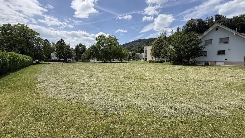 Großes, frisch gemähtes Grundstück mit Gras und Bäumen, umgeben von Wohngebäuden unter einem blauen Himmel.