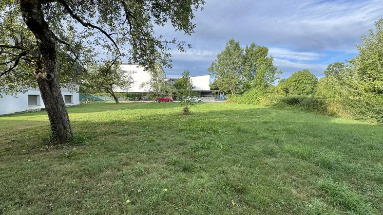 Gepflegte Rasenfläche mit altem Obstbaum und Blick auf umliegende Wohngebäude.