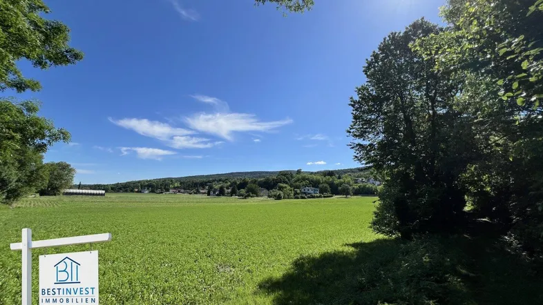 Weitläufiges grünes Feld unter strahlend blauem Himmel mit Fernblick auf bewaldete Hügel.