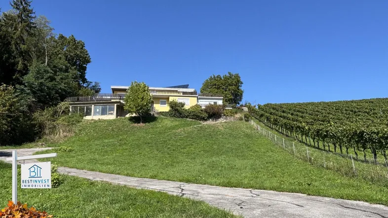Gelbes Haus auf einem Hügel mit angrenzendem Weinberg unter blauem Himmel.