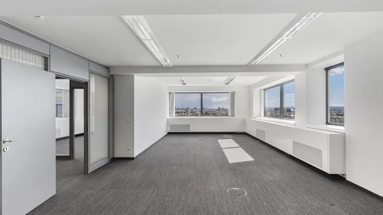 Geräumiges, leeres Büro mit Teppichboden, großen Fenstern und weitem Stadtblick.