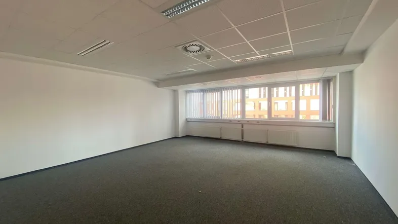 Geräumiges, leeres Büro mit Teppichboden, Rasterdecke und großen Fenstern für viel Tageslicht.