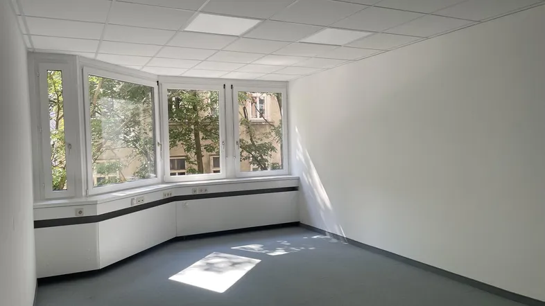 Heller Büroraum mit großen Fenstern und Blick ins Grüne, ausgestattet mit einem Rasterdecken-System.