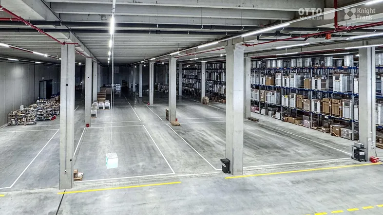 Geräumige Lagerhalle mit hohen Decken, Betonboden und Regalsystemen für effiziente Logistik.