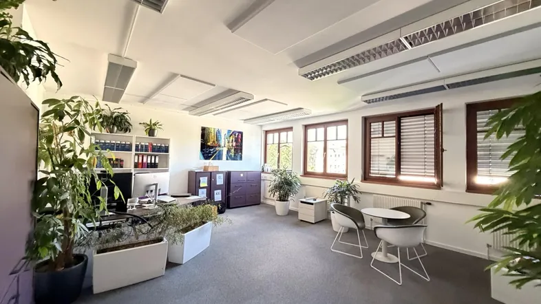 Geräumiges Büro mit mehreren Arbeitsplätzen, großen Fenstern und vielen Pflanzen für eine angenehme Arbeitsatmosphäre.