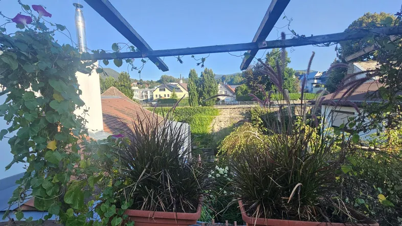 Blick von einem Balkon mit Pflanzen und Pergola über Dächer und grüne Landschaft.