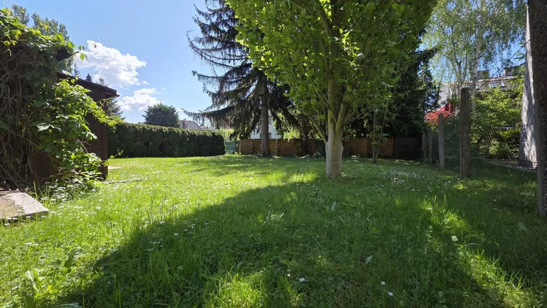 Großer, sonniger Garten mit Rasenfläche, Bäumen und Hecke im Hintergrund.