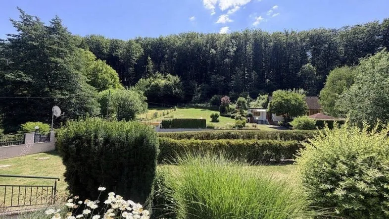 Weitläufiger Garten mit üppiger Vegetation und Blick auf bewaldete Hügel.