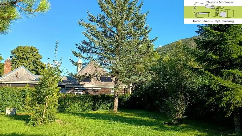 Grüne Umgebung mit Rasenfläche und Bäumen, im Hintergrund ein charmantes Haus unter blauem Himmel.