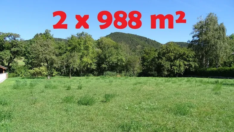 Grüne Wiese mit Bäumen und Bergen im Hintergrund, ideal für Bauvorhaben.