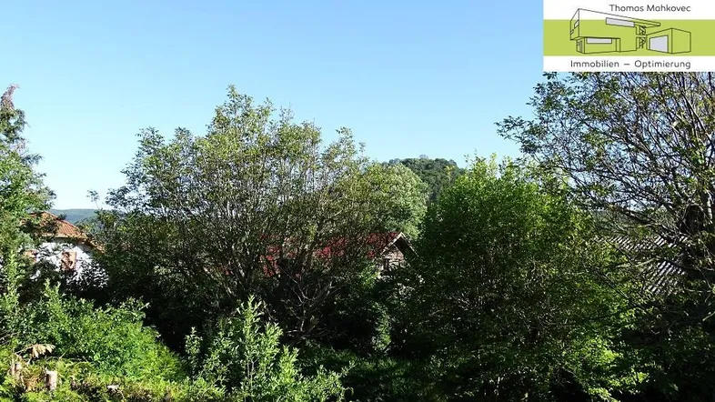 Blick über grüne Bäume auf die umliegende Landschaft und entfernte Häuser.