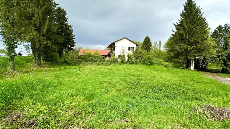 Haus auf einem grünen Hügel mit hohen Bäumen unter bewölktem Himmel.