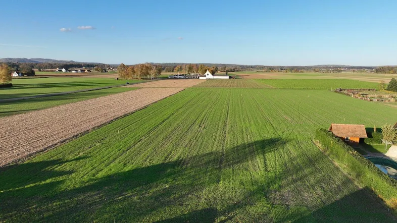 Weitläufige Felder und ländliche Umgebung mit vereinzelten Häusern unter blauem Himmel.