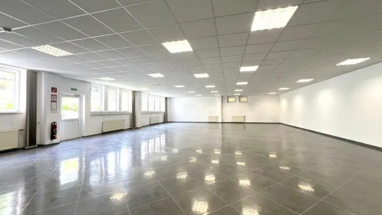 Großer, heller Büroraum mit vielen Fenstern, Fliesenboden und Rasterdeckenbeleuchtung, ideal für gewerbliche Nutzung.