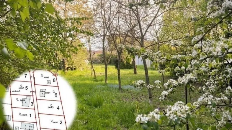 Grünes Grundstück mit blühenden Bäumen und viel natürlichem Licht, ideal für ein neues Zuhause.