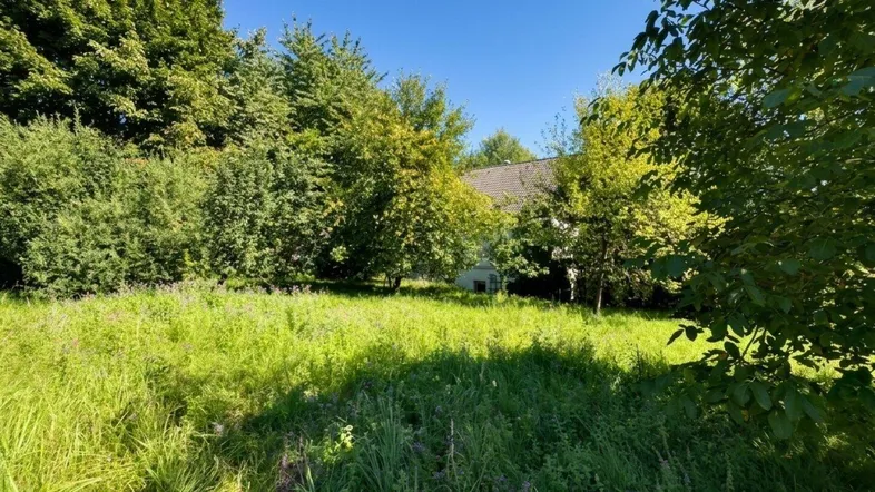 Großes, grünes Grundstück mit altem Baumbestand und einem Haus im Hintergrund unter blauem Himmel.
