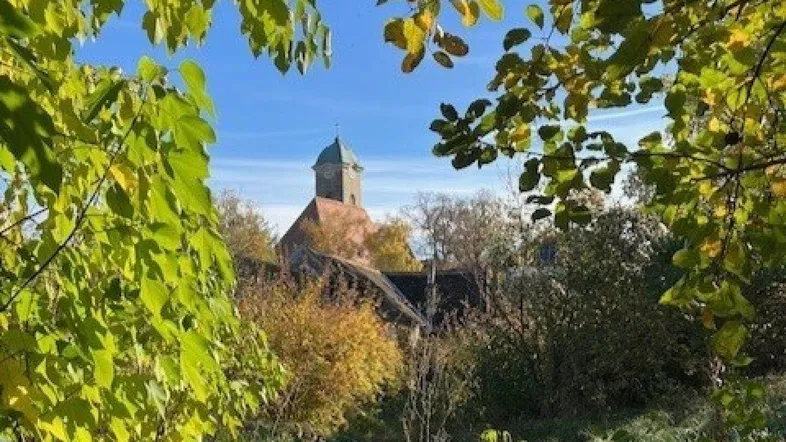 Historisches Gebäude mit Turm, umrahmt von herbstlichem Laub und Bäumen unter blauem Himmel.