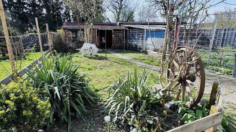 Gepflegter Gartenbereich mit Rasenfläche, Sträuchern, einem Gartenhaus und dekorativem Wagenrad.