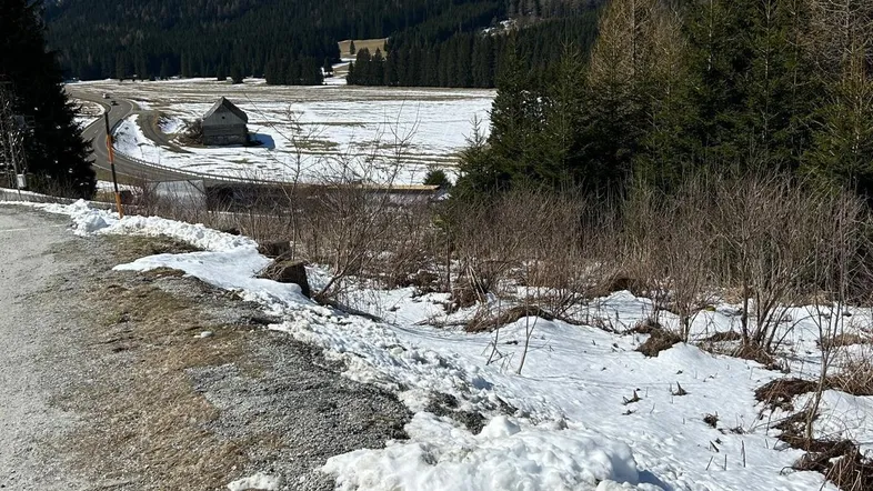 Weite Winterlandschaft mit schneebedeckten Bergen und einem Tal im Hintergrund unter blauem Himmel.
