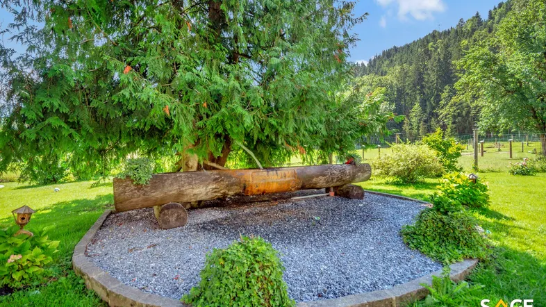 Gepflegter Gartenbereich mit großem Baum, rustikalem Holztrog und Blick auf die grüne Landschaft.