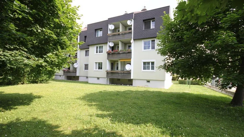 Mehrfamilienhaus mit grüner Fassade und Mansarddach, umgeben von gepflegtem Rasen und Bäumen.