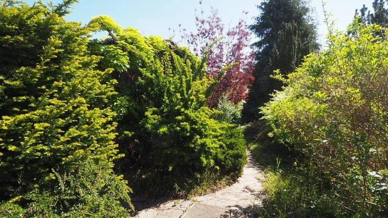 Geschwungener Gartenweg aus Steinplatten, umgeben von üppigem Grün und Sträuchern unter blauem Himmel.