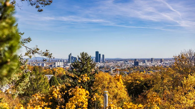 Weitläufiger Blick über eine herbstliche Landschaft mit Weinbergen und der Skyline einer Stadt im Hintergrund.