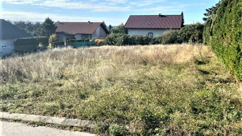 Unbebautes Grundstück mit hohem Gras und umliegenden Wohnhäusern unter blauem Himmel.
