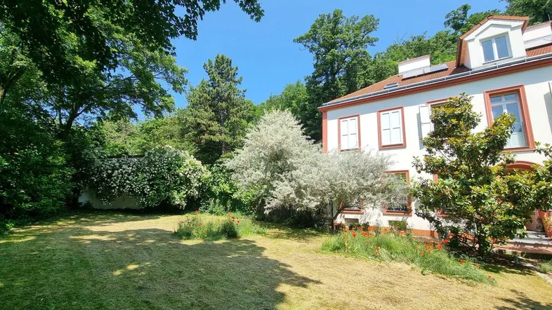 Großer, gepflegter Garten mit Rasenfläche und altem Baumbestand, ideal zum Entspannen im Freien.