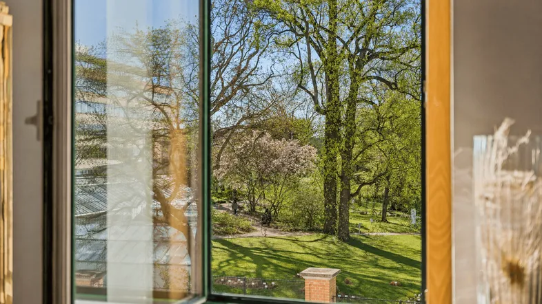 Blick aus einem geöffneten Fenster auf einen grünen Park mit Bäumen und blühenden Sträuchern.