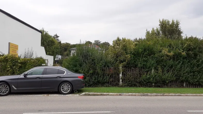 Blick von der Straße auf ein Grundstück mit Hecke und einem geparkten Auto.