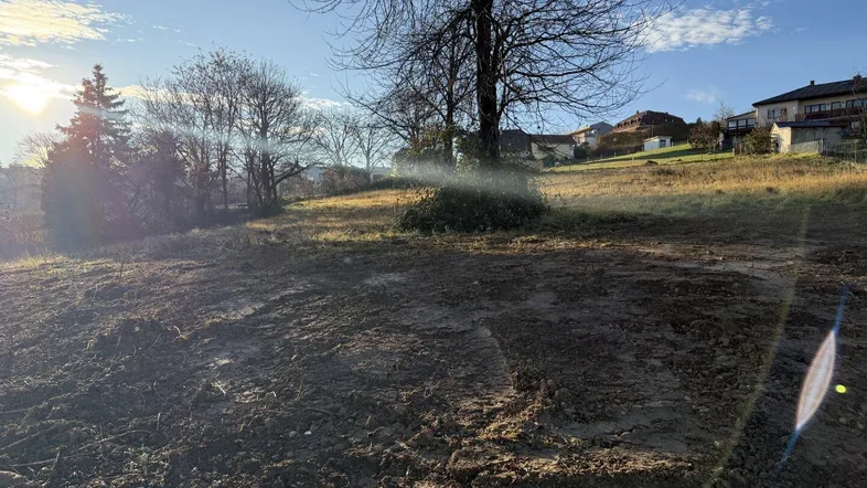 Unbebautes Grundstück mit kahlen Bäumen und Blick auf die umliegende Wohnbebauung unter blauem Himmel.