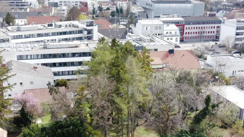 attraktives Grundstück mit Altbaumbestand in Bestlage von Eisenstadt