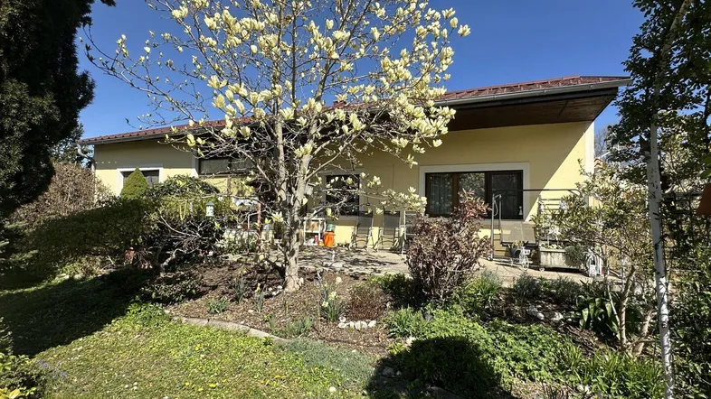 Rückansicht des Hauses mit Terrasse, Gartenbereich und blühendem Baum unter blauem Himmel.