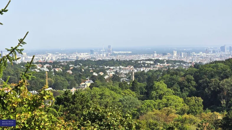 Weitläufiger Panoramablick auf die Stadt Wien über grüne Baumwipfel und Hügel.