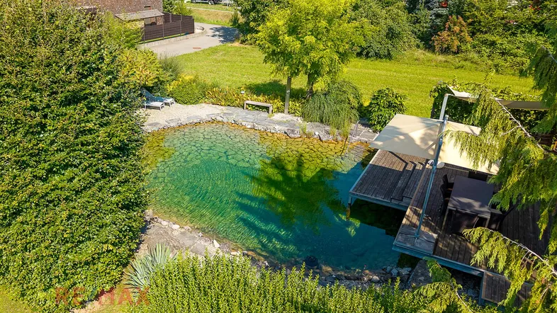 Idyllischer Naturschwimmteich mit Holzdeck und Liegeflächen, umgeben von üppigem Grün.