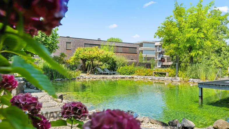 Natürlicher Schwimmteich im Garten mit üppiger Bepflanzung und Liegeplätzen unter blauem Himmel.