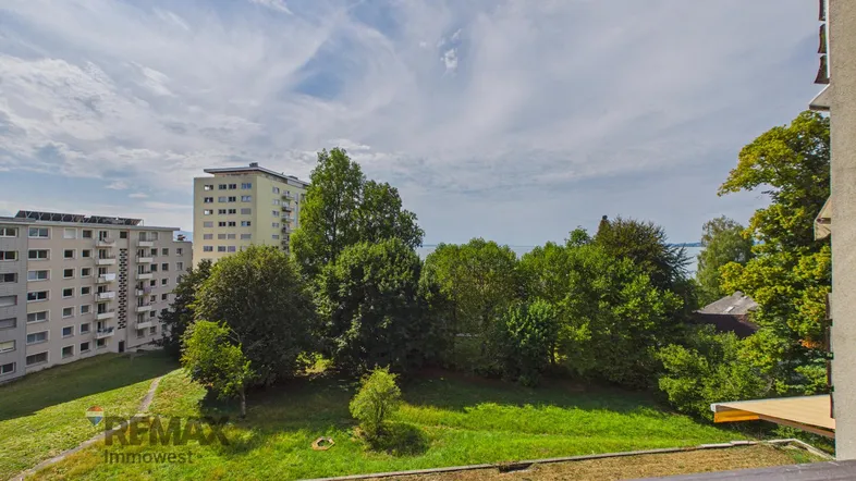 Blick auf grüne Bäume, einen See im Hintergrund und umliegende Wohngebäude unter bewölktem Himmel.