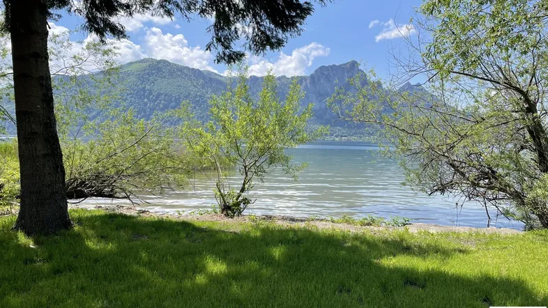 Blick auf den See und die umliegenden Berge, umgeben von grüner Natur und Bäumen.
