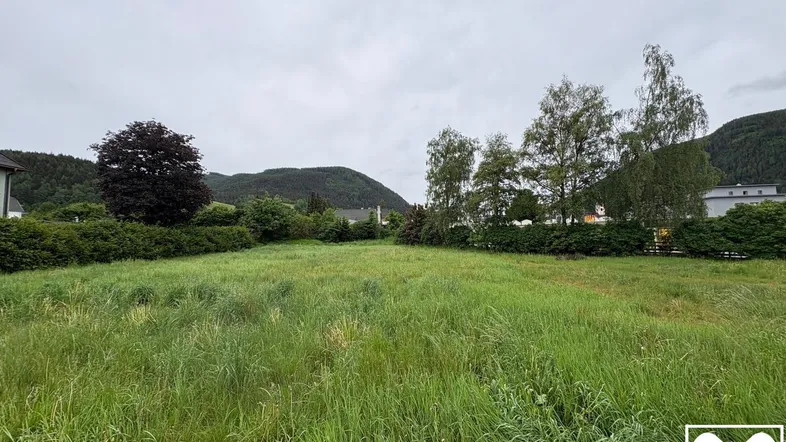 Weitläufige grüne Wiese mit Bäumen und Hügeln im Hintergrund unter bewölktem Himmel.
