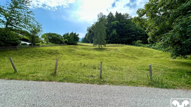 Weitläufige grüne Wiese mit Bäumen im Hintergrund unter einem bewölkten Himmel, ideal für Naturliebhaber.