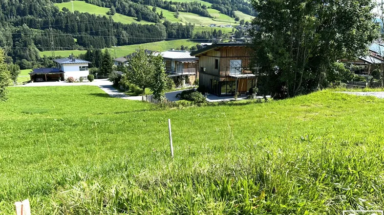 Grüne Hügellandschaft mit vereinzelten Häusern unter blauem Himmel und viel Sonnenlicht.
