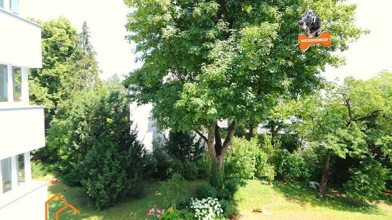 Aussicht in den herrlichen Garten